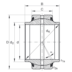 關(guān)節(jié)軸承 GE20-HO-2RS, 根據(jù) DIN ISO 12 240-1 標準, 需維護，兩側(cè)唇密封